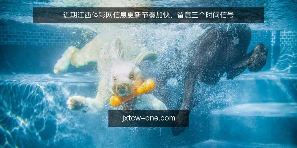 近期江西体彩网信息更新节奏加快,留意三个时间信号 — 近期值得关注的信号 配图